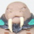 Gruntos