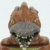 Rodan