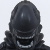Alien Warrior