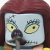 Sally