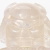 Cloaked Masked Predator