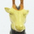 Ruminant