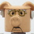 Dr. Julius Strangepork