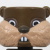 The Gopher