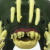 Predator Hound