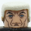 Future Magneto