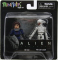 Shaw & Neomorph
