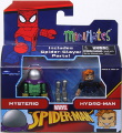 Mysterio & Hydro-Man