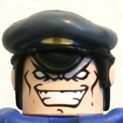M. Bison