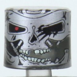 Battle Damaged Endoskeleton