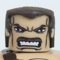 Mike Haggar