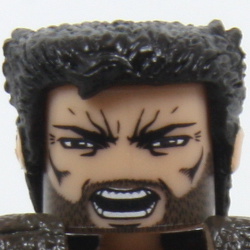 Wolverine (Street Fight)