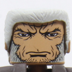 Wastelands Wolverine