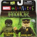 Battle Damaged Hulk & General Ross